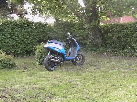 Piaggio Typhoon billede 2