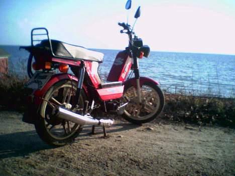 Gizmo Hero 60CC Solgt  - yes sir!!! ved stranden,.. billede 20