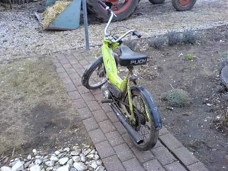 Puch Maxi K  billede 13