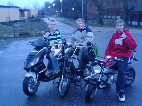 Honda pbr s50 billede 15