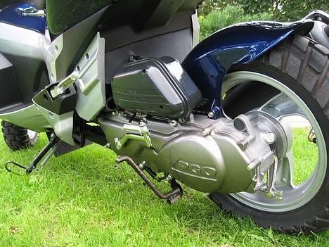 PGO G-MAX  Blå perlemor billede 10