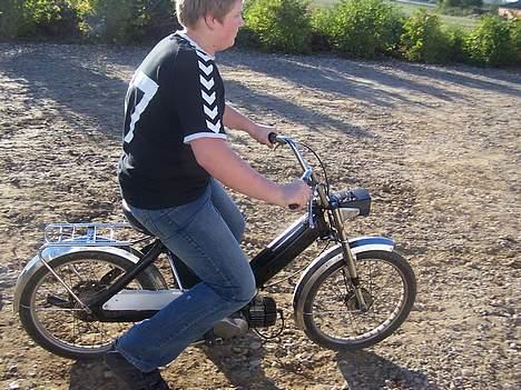 Puch Maxi (solgt) billede 14