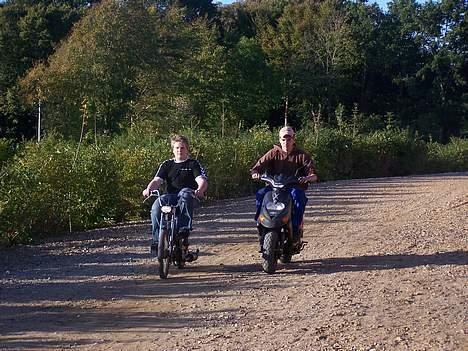 Puch Maxi (solgt) billede 15
