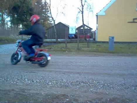 Gilera katia billede 6