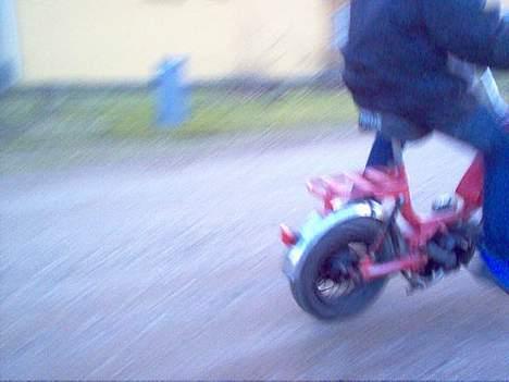 Gilera katia billede 7