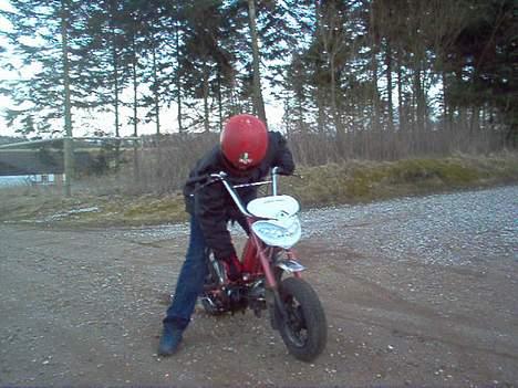 Gilera katia billede 10