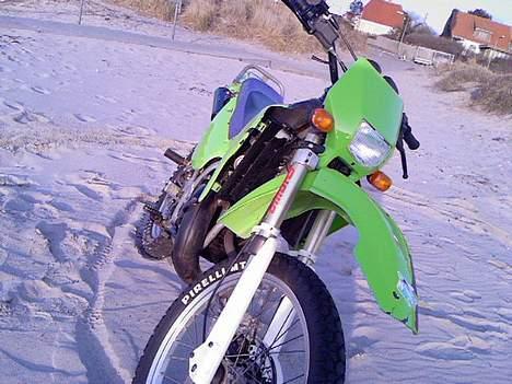 Suzuki RMX billede 5