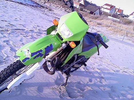 Suzuki RMX billede 7