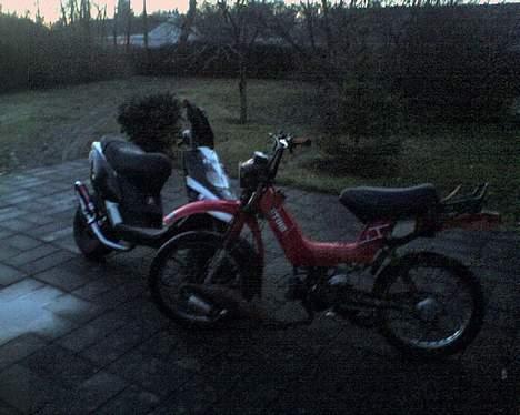 Yamaha Sting . SOLGT billede 4