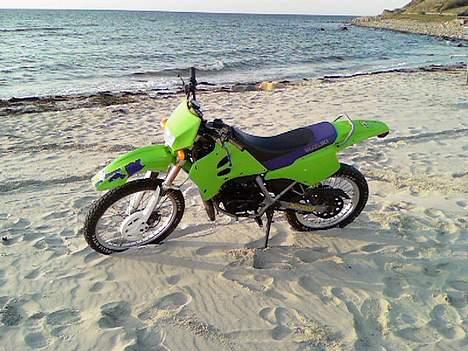 Suzuki RMX billede 13