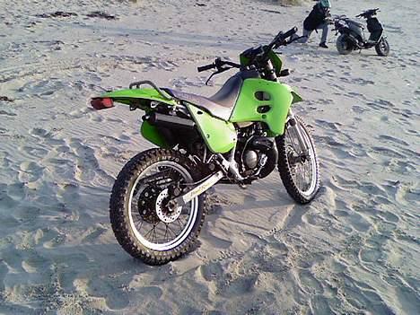 Suzuki RMX billede 15