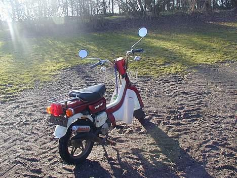 Suzuki fz50----Solgt billede 1