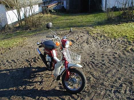 Suzuki fz50----Solgt billede 3