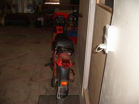 Yamaha Sting SG50 (Solgt) billede 5