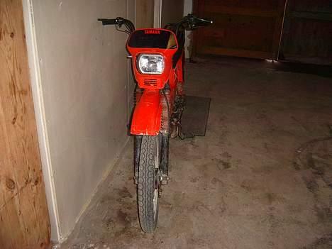 Yamaha Sting SG50 (Solgt) billede 6