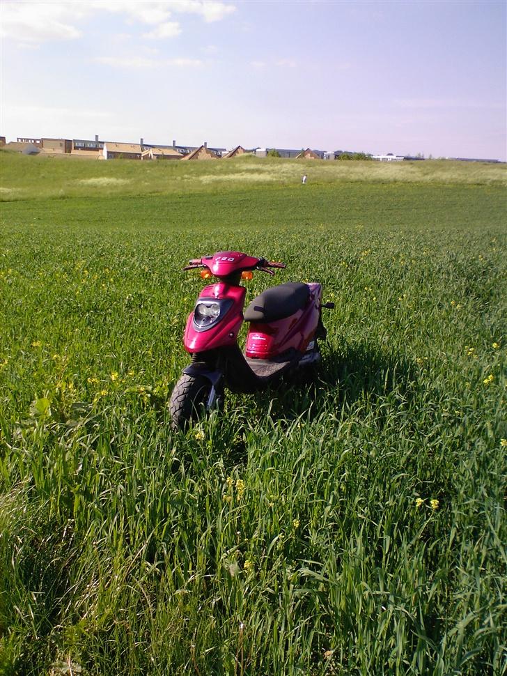 PGO hot 50 (NU TIL SALG) billede 17