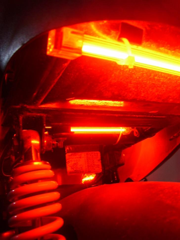 CPI Popcorn {Neon} Solgt billede 12