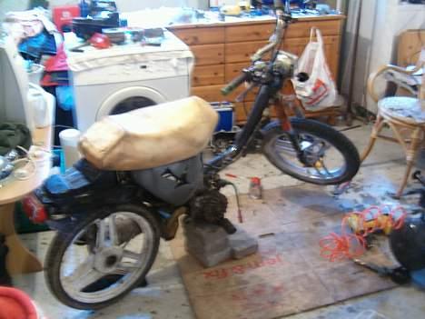 Honda wallaroo (byttet) - miin honda , uden skjolde  billede 1