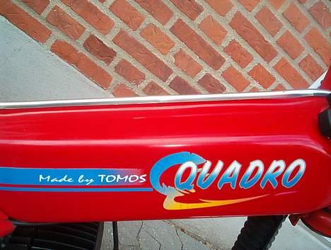 Tomos Quadro 35 billede 8