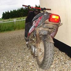 PGO Hot 50 //SOLGT//