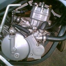 Derbi Senda Extreme SM (SOLGT)