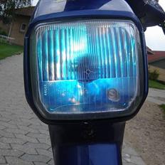 Honda wallaroo