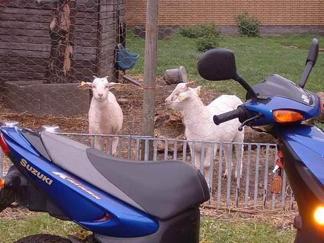 Suzuki katana ac solgt billede 16