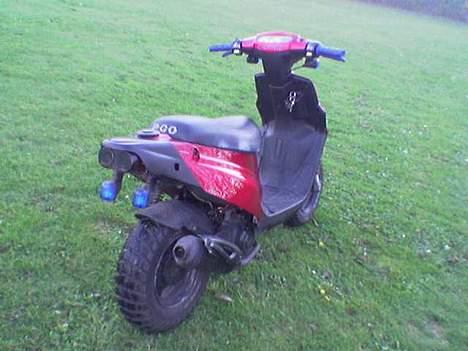 PGO Hot 50 - gammelt billede billede 5