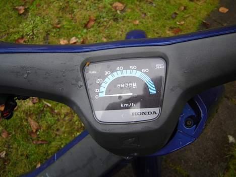 Honda wallaroo billede 5