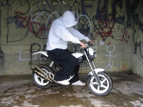 Suzuki STREET MAGIC billede 5