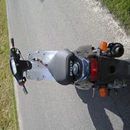 PGO Hot 50