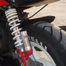 Peugeot Speedfight 2 WRC 307 