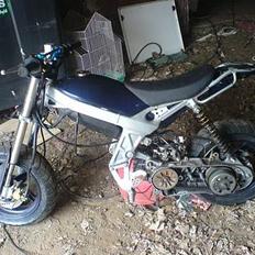 Suzuki Street Magic II -> SOLGT