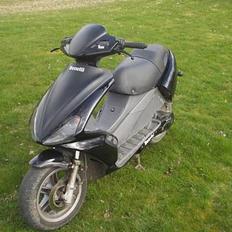 Benelli 491 // Solgt //