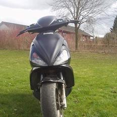 Benelli 491 // Solgt //