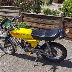 Yamaha fs-1 DX 4gear SOLGT