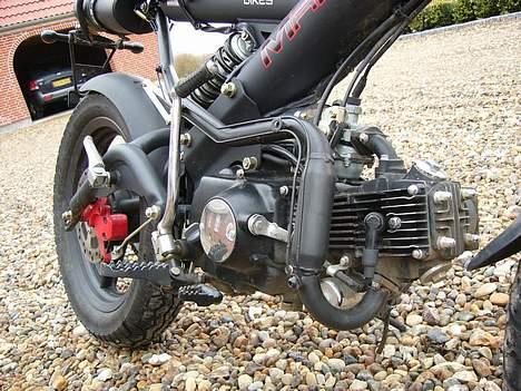 Sachs MadAss - NYT det kan slet ikk ses  at den har været skåret over=)...... billede 12