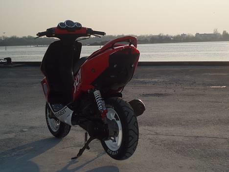 Peugeot Speedfight 2 WRC 307  billede 1