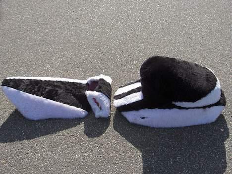 Yamaha Jog FS SOLGT billede 14