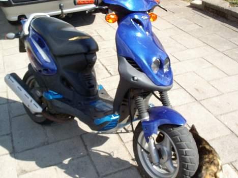 PGO PMX SPORT solgt billede 5