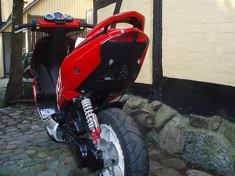 Peugeot Speedfight 2 WRC 307  billede 5