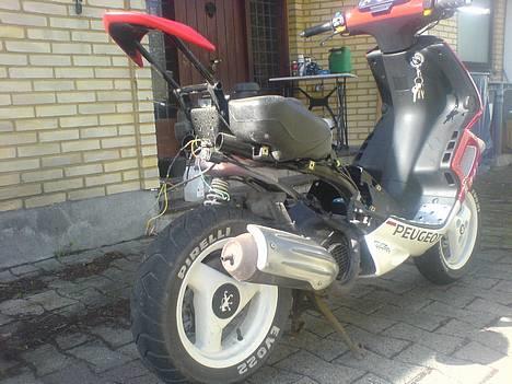 Peugeot Speedfight 2 WRC 307  billede 6