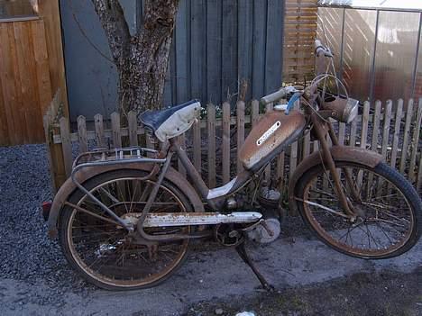 Sco Grand Universal billede 1