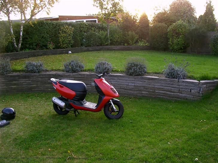 Aprilia sonic byttet til ssm  billede 13