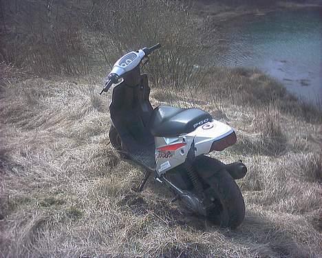 PGO hot 50 Solgt billede 2