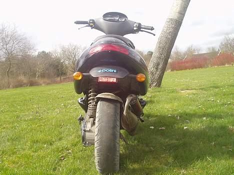 Benelli 491 // Solgt // billede 4