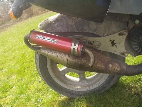 Benelli 491 // Solgt // billede 5