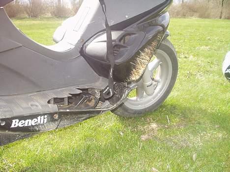 Benelli 491 // Solgt // billede 6