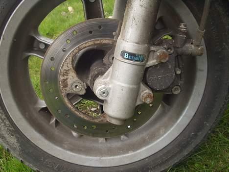 Benelli 491 // Solgt // billede 7