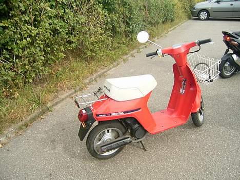 Honda melody mini NT50 billede 5
